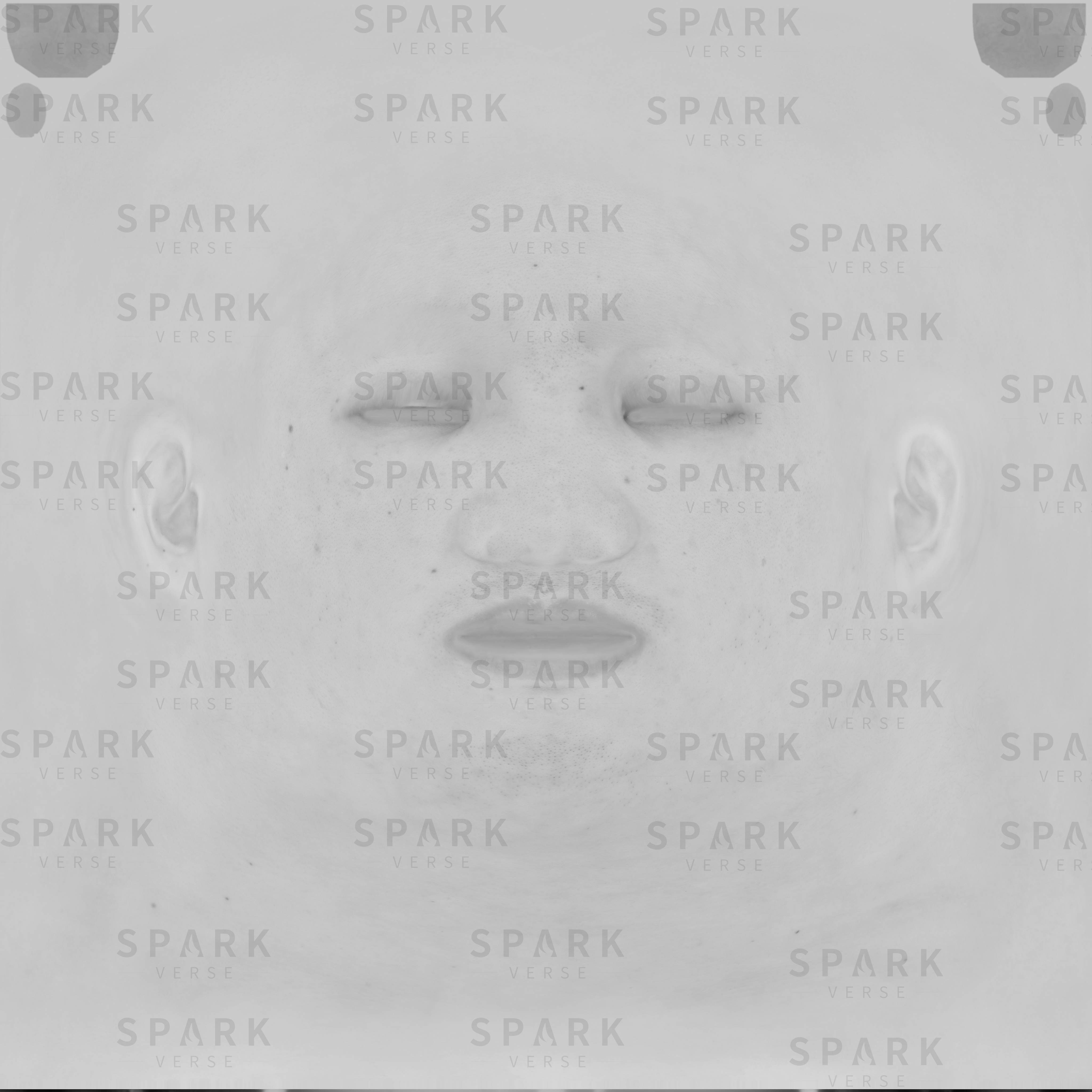 纹理贴图3