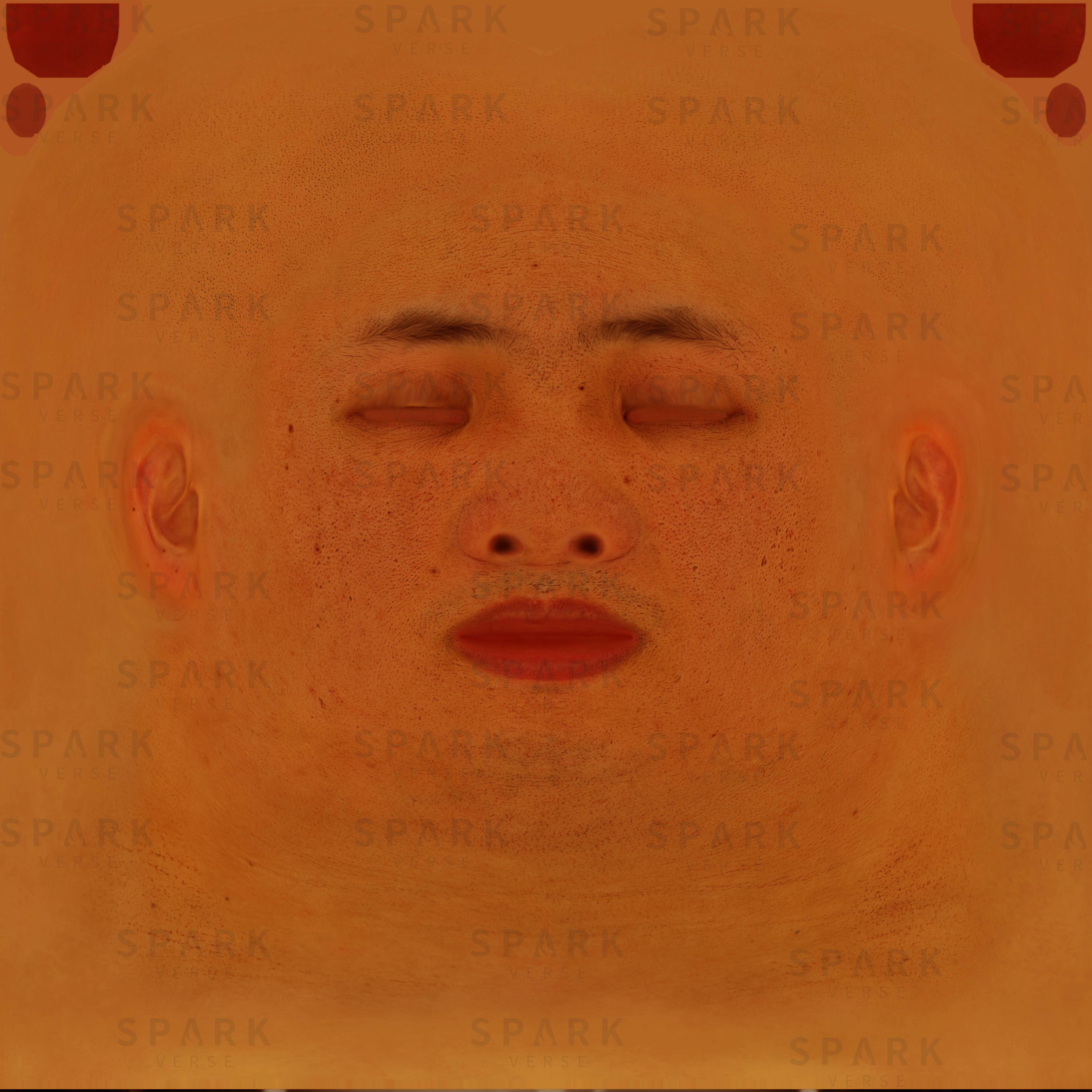 纹理贴图5