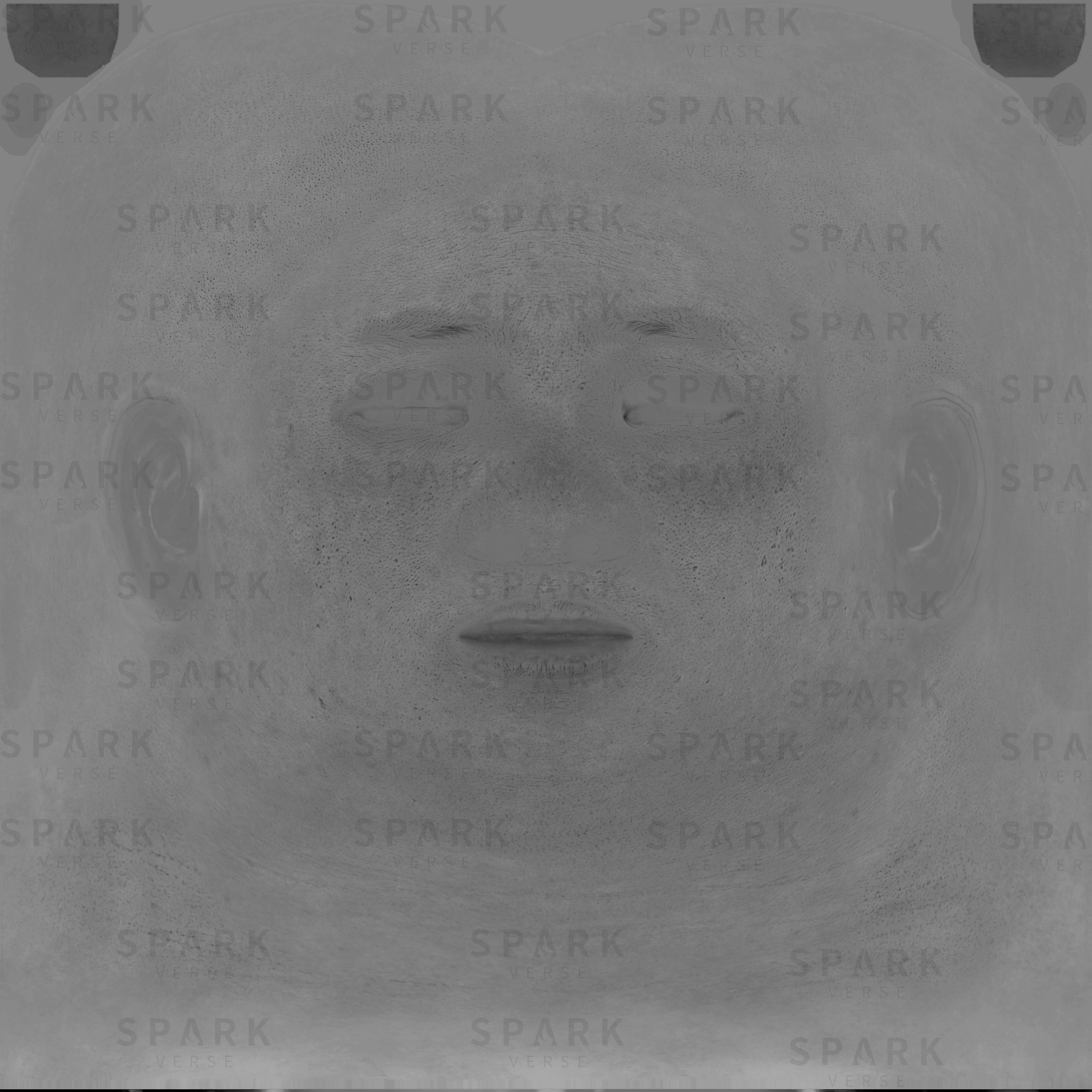 纹理贴图2